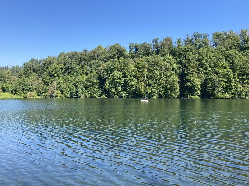 Angler in einem kleinen Boot auf dem ruhigen Twistesee vor bewaldetem Ufer